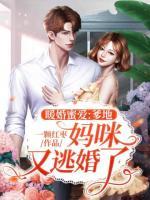 暖婚蜜愛：爹地，媽咪又逃婚了！
