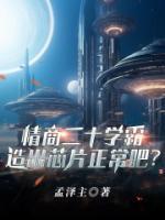 情商20學(xué)霸，造出芯片正常吧？