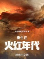 重生在火紅年代