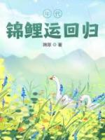 年代錦鯉運回歸