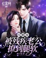 閃婚，被殘疾老公撩到