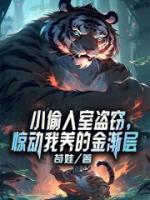 小偷入室盜竊，驚動我養(yǎng)的金漸層