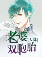 天降雙胞胎老婆