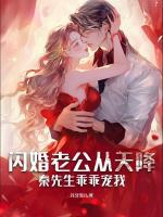 閃婚老公從天降，秦先生乖乖寵我
