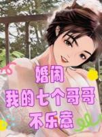 婚鬧：我的七個哥哥不樂意