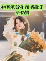 和頂流分手后，我撩了小奶狗