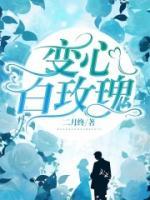 變心白玫瑰