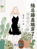 離婚后，陸總膝蓋跪穿了