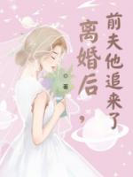 離婚后，前夫他追來(lái)了