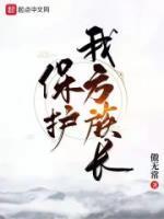 保護(hù)我方族長