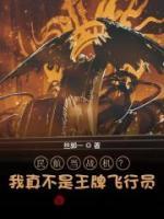 民航當(dāng)戰(zhàn)機？我真不是王牌飛行員