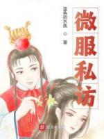 微服私訪