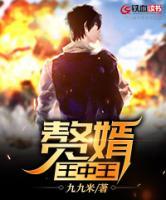 贅婿王中王