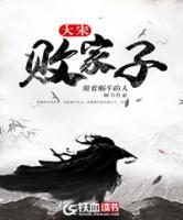 大宋敗家子