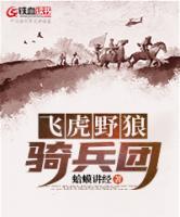 飛虎野狼騎兵團(tuán)