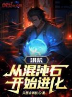 洪荒：從混沌石開始進化！