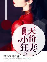 獵寵：天價小狂妻