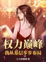 權(quán)力巔峰：我從基層步步布局