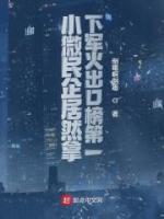 小微民企居然拿下軍火出口榜第一
