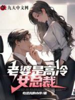 老婆是高冷女總裁