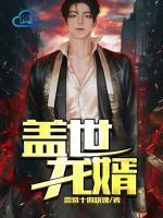 蓋世龍婿