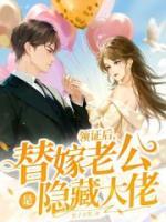 領(lǐng)證后，替嫁老公是隱藏大佬
