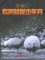斗破：欺的就是少年窮