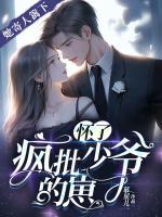 她寄人籬下，懷了瘋批少爺?shù)尼?>
                    <a href=