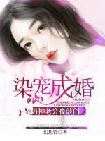 染寵成婚：男神老公夜敲門