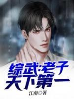 綜武：老子天下第一