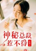 神秘總裁惹不得