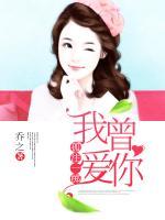 我曾愛你，孤注一擲