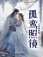 孤鸞照鏡