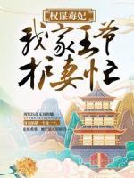 權(quán)謀毒妃：我家王爺護(hù)妻忙