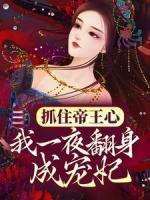 抓住帝王心，我一夜翻身成寵妃