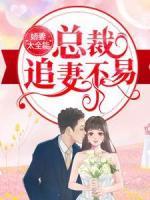 嬌妻太全能，總裁追妻不易