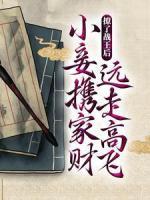 撩了戰(zhàn)王后，小妾攜家財遠走高飛了