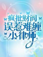 瘋批財(cái)閥誤惹難纏小律師