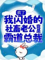瘋了，我閃婚的社畜老公竟是霸道總裁？