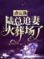 虐完我，陸總追妻火葬場(chǎng)了
