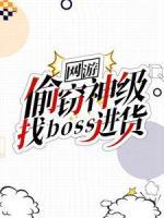 網游：偷竊神級，找boss進貨