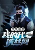 諜戰(zhàn)逆襲：我的代號鐵絲網(wǎng)