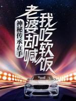 神秘傳承在手，老婆卻喊我吃軟飯