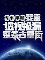 傳承神瞳：我靠透視撿漏整條古董街