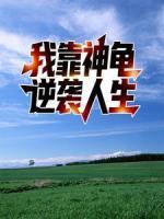 我靠神龜逆襲人生