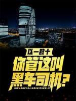 以一敵十，你管這叫黑車司機？
