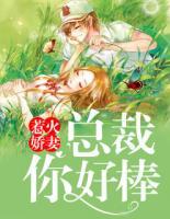 惹火嬌妻：總裁，你好棒