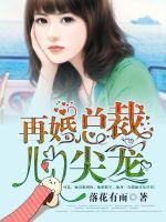 再婚總裁心尖寵