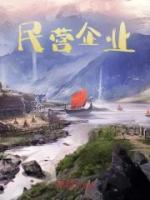 民營企業(yè)