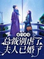 豪門(mén)虐愛(ài)：總裁別虐了，夫人已婚了